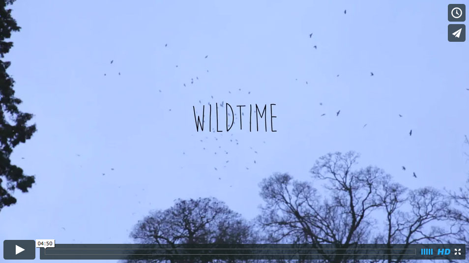 wildtime